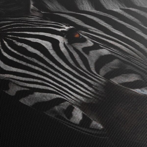 Slika zebre (120x50 cm)