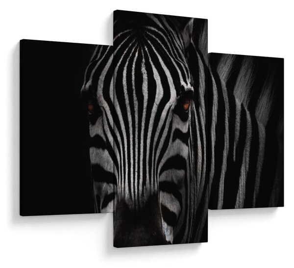 Slika zebre (90x60 cm)