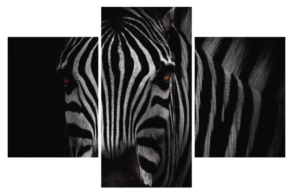 Slika zebre (90x60 cm)