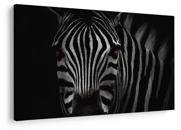 Slika zebre (90x60 cm)
