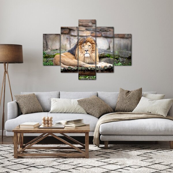 Slika lava (150x105 cm)