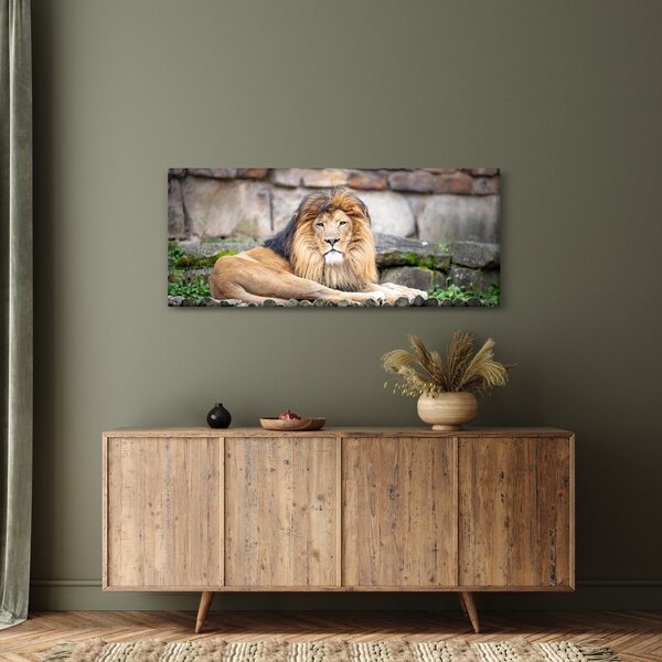 Slika lava (120x50 cm)