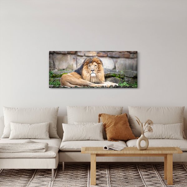 Slika lava (120x50 cm)