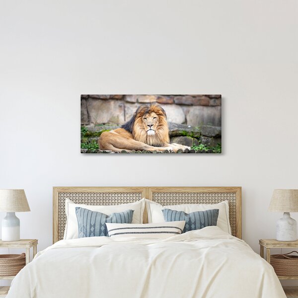 Slika lava (120x50 cm)