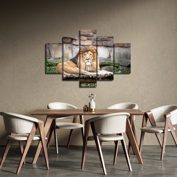 Slika lava (150x105 cm)