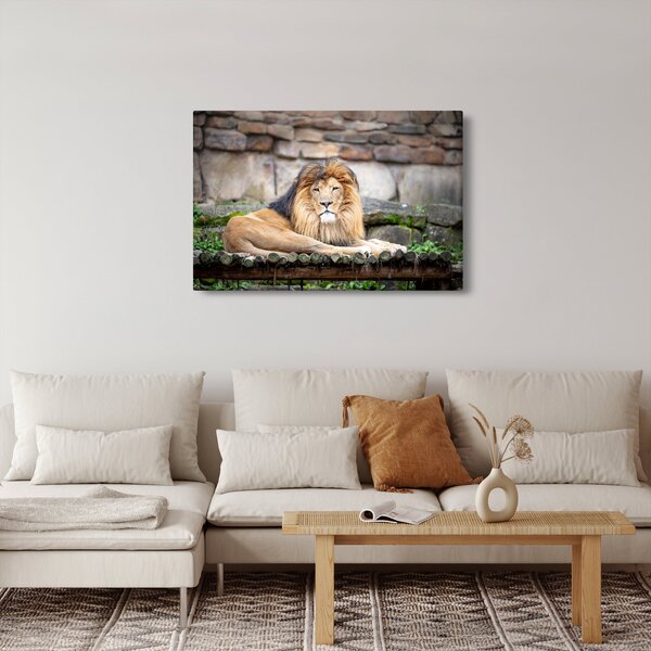 Slika lava (90x60 cm)
