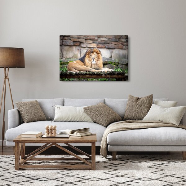 Slika lava (90x60 cm)