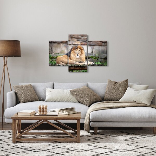 Slika lava (90x60 cm)