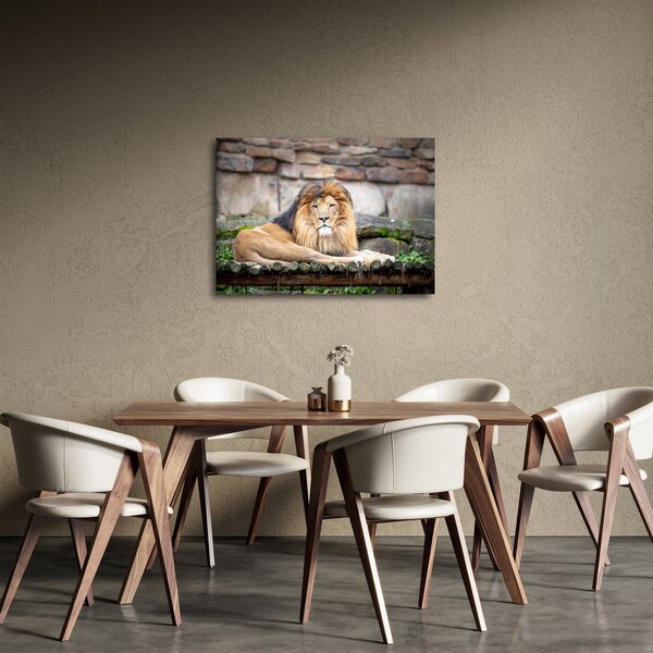 Slika lava (70x50 cm)