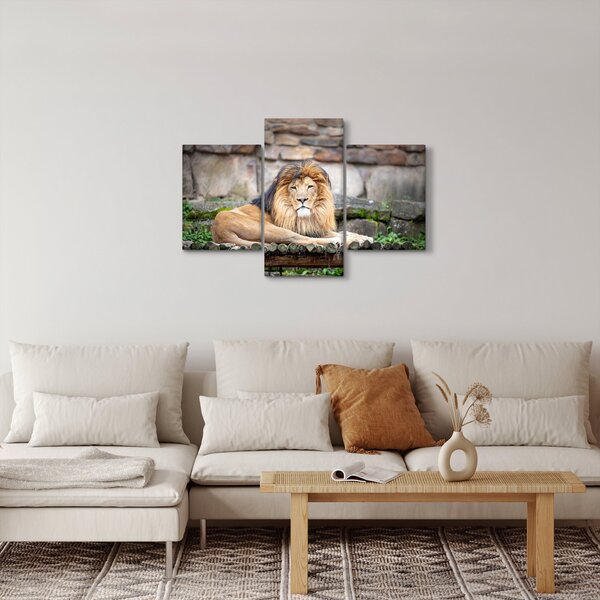 Slika lava (90x60 cm)