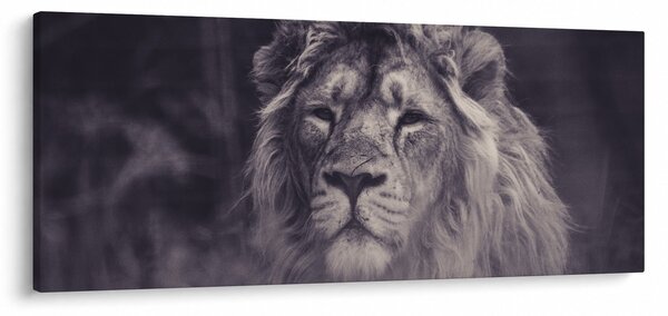 Slika lava (120x50 cm)