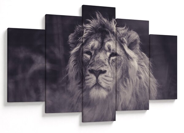 Slika lava (150x105 cm)