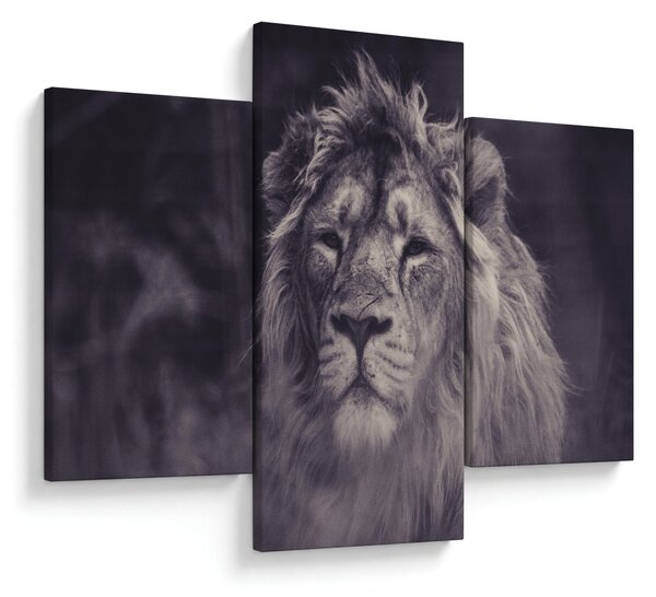 Slika lava (90x60 cm)