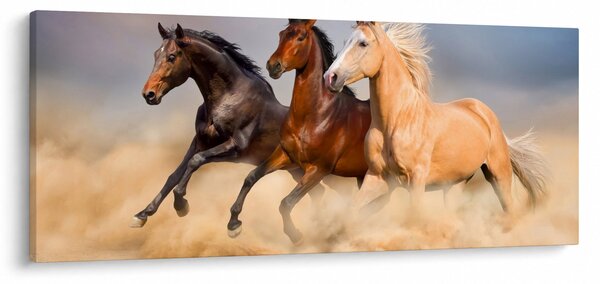 Slika - Divlji konji (120x50 cm)