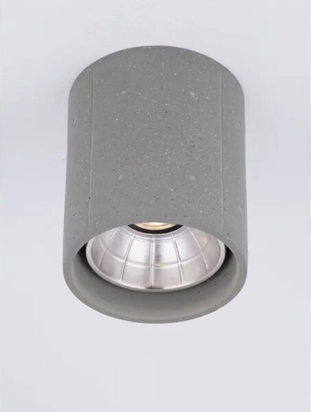 RITZ STROPNA SVJETILJKA SIVA LED 10 Watt 220-240Volt 1044lm 3000K IP65 NL9540227