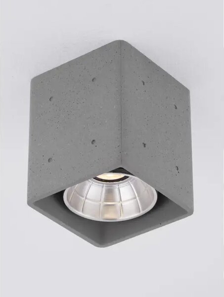 RITZ STROPNA SVJETILJKA SIVA LED 10 Watt 220-240Volt 1021lm 3000K IP65 NL9540228