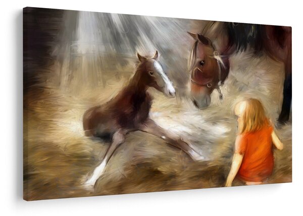 Slika - Dobrodošao u svijet, ždrijebe (90x60 cm)