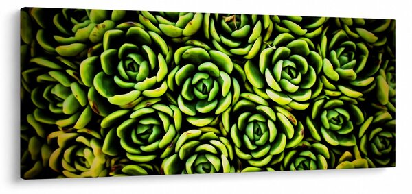 Slika čuvarkuće (120x50 cm)
