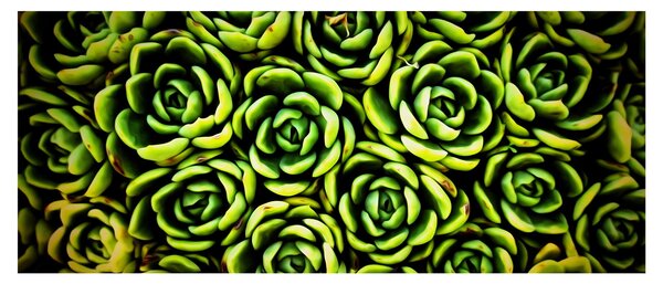 Slika čuvarkuće (120x50 cm)