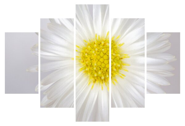 Slika - Margarita (150x105 cm)