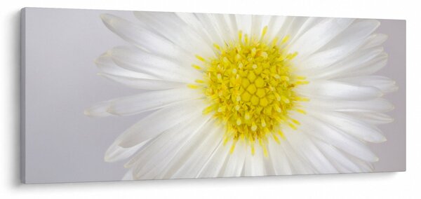 Slika - Margarita (120x50 cm)