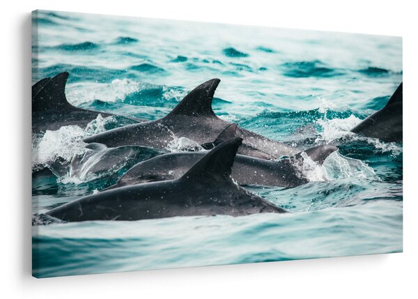 Slika - Dupini u oceanu (90x60 cm)