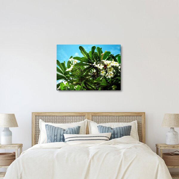 Slika - Plumerija (70x50 cm)