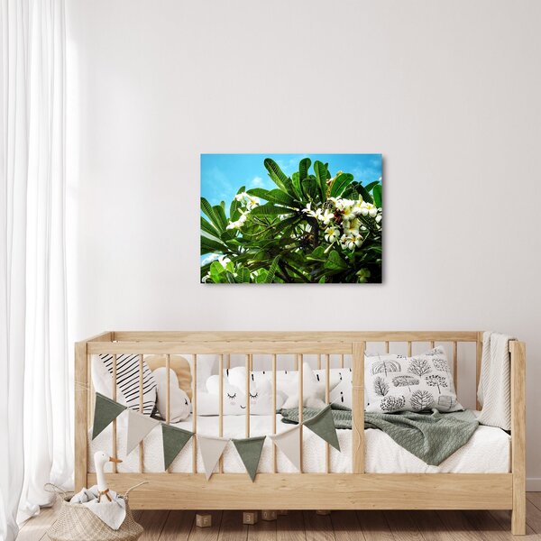Slika - Plumerija (70x50 cm)