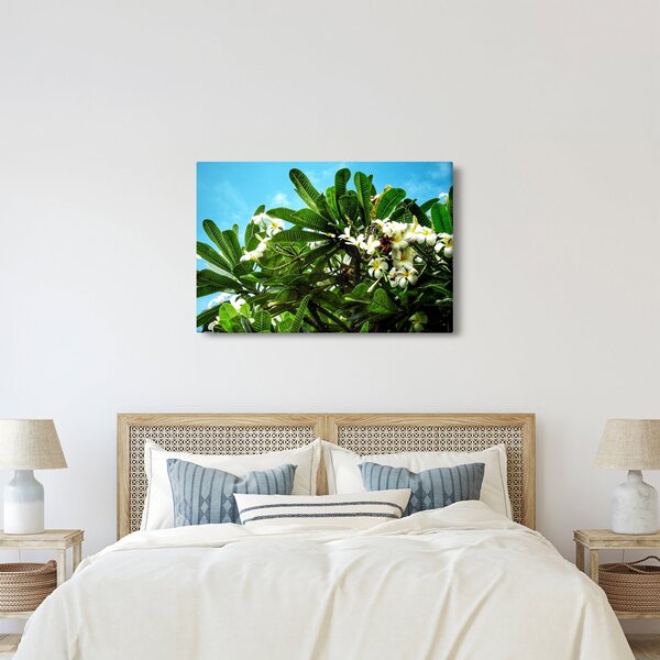 Slika - Plumerija (90x60 cm)