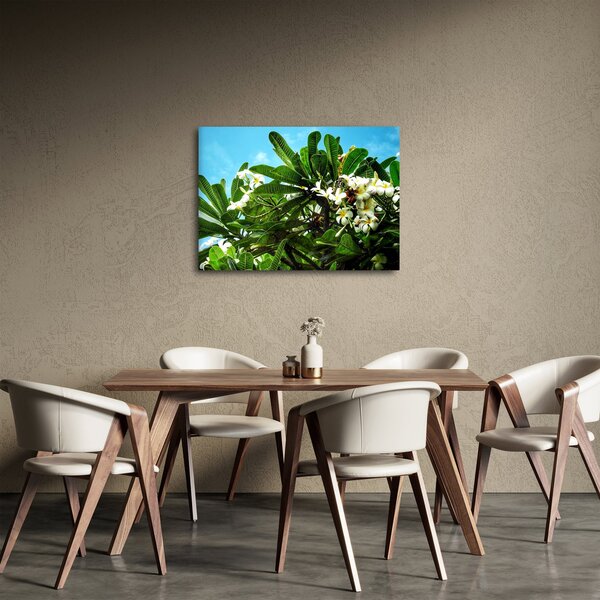 Slika - Plumerija (70x50 cm)