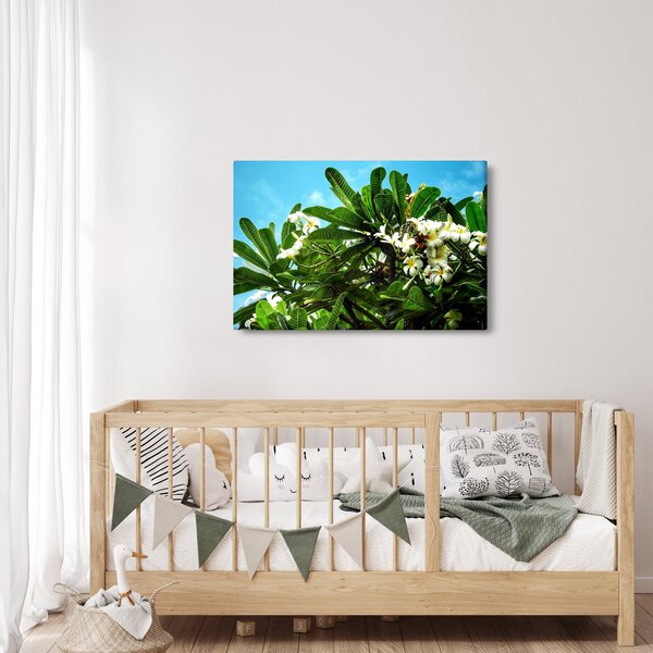 Slika - Plumerija (90x60 cm)