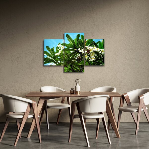 Slika - Plumerija (90x60 cm)