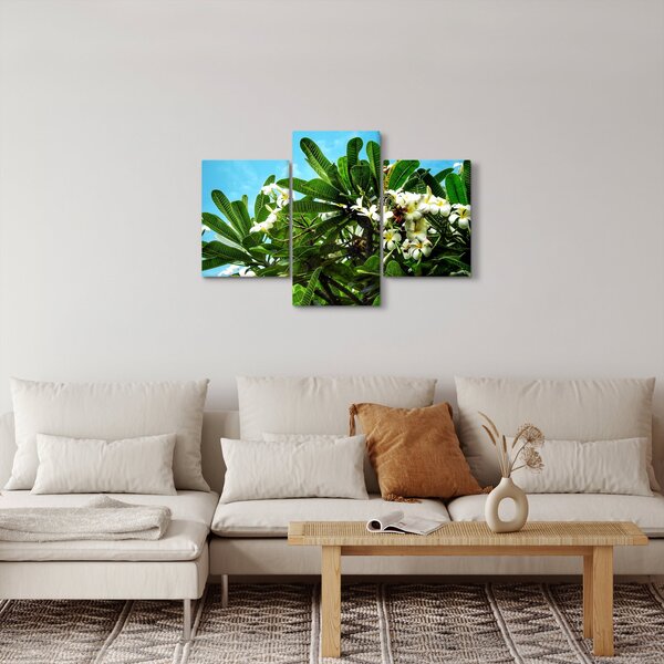 Slika - Plumerija (90x60 cm)
