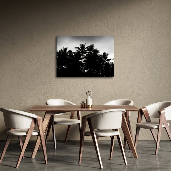 Crno-bijela slika - palme (70x50 cm)