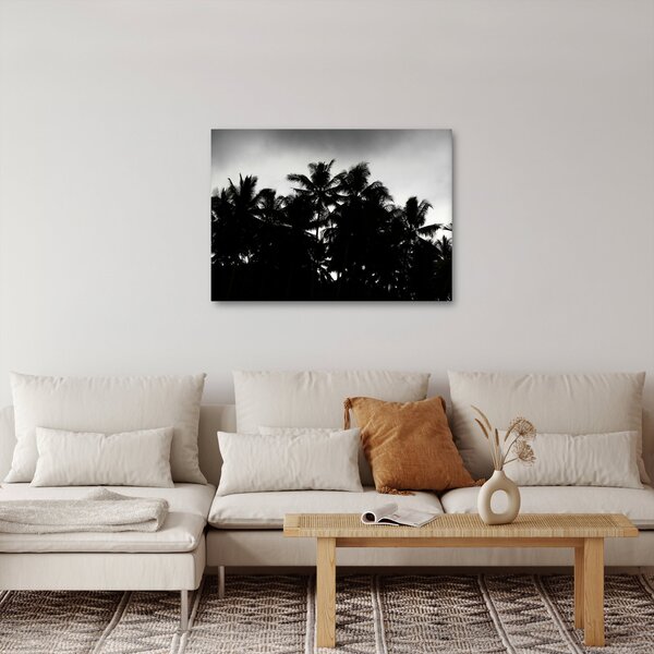 Crno-bijela slika - palme (70x50 cm)