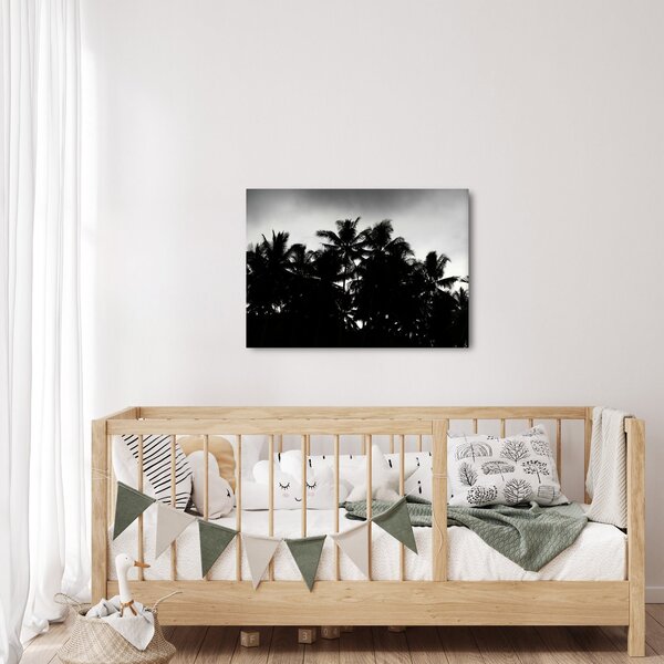 Crno-bijela slika - palme (70x50 cm)