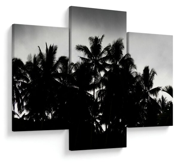 Crno-bijela slika - palme (90x60 cm)