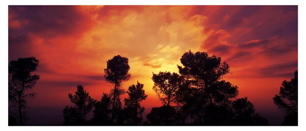 Slika zalaska sunca (120x50 cm)