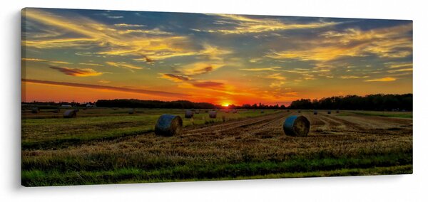 Slika - Seoski paketi (120x50 cm)
