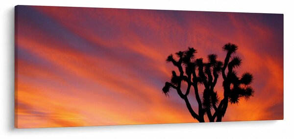 Slika zalaska sunca nad siluetom stabla (120x50 cm)