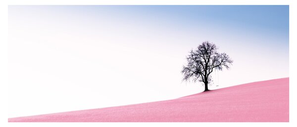 Slika - Ružičasti san (120x50 cm)