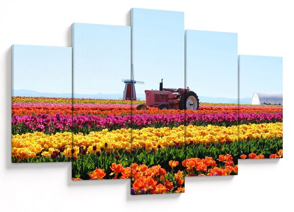 Slika farme tulipana (150x105 cm)