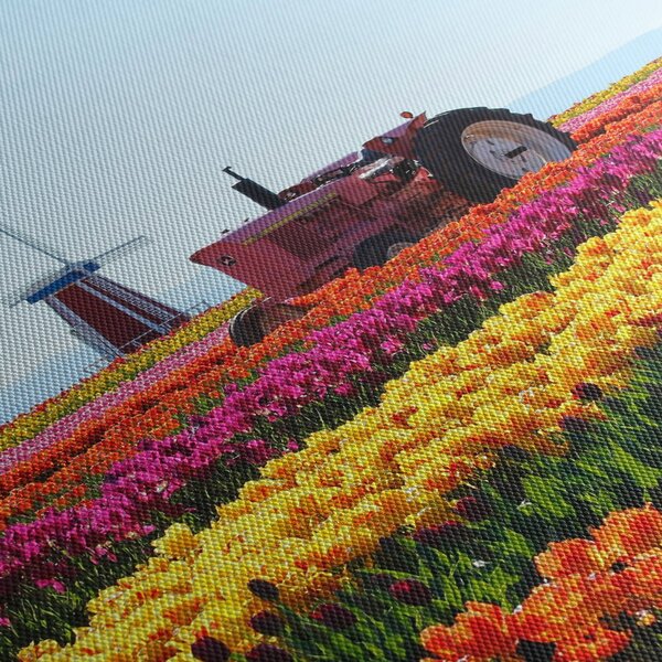 Slika farme tulipana (120x50 cm)