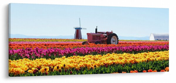 Slika farme tulipana (120x50 cm)