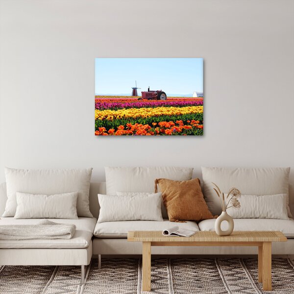 Slika farme tulipana (70x50 cm)