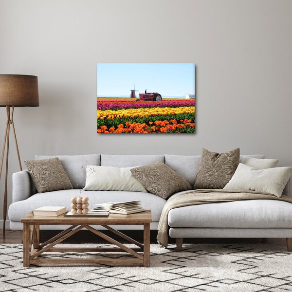 Slika farme tulipana (70x50 cm)