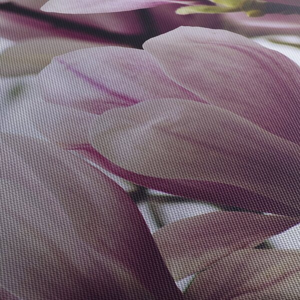 Slika - Magnolija (90x60 cm)
