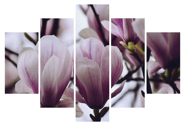 Slika - Magnolija (150x105 cm)