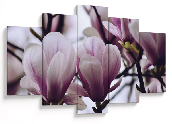 Slika - Magnolija (150x105 cm)