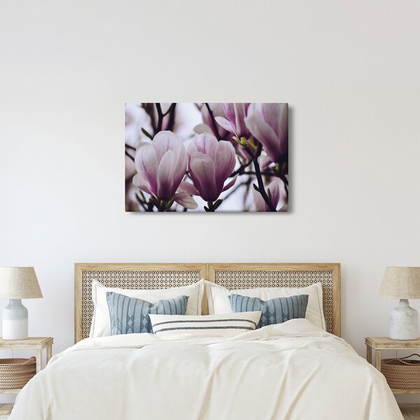 Slika - Magnolija (90x60 cm)